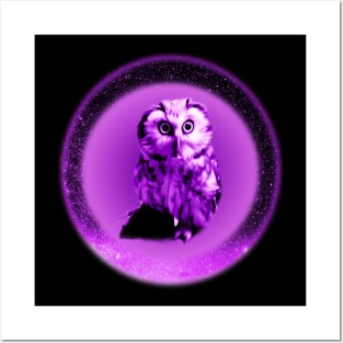 Purple Pygmy Galaxy Space Owl Posters and Art